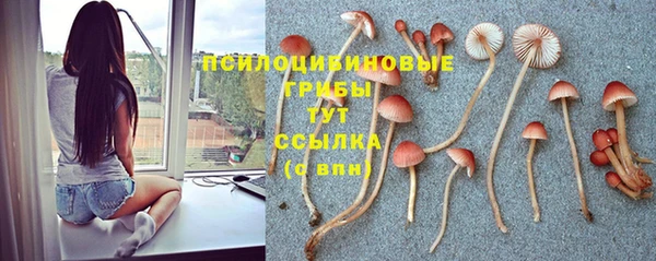 кокаин Каменногорск