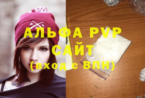 spice Каменка
